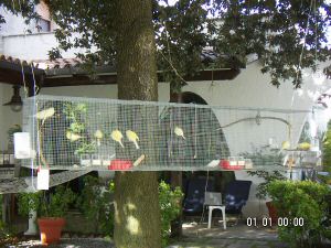 34 voliera expo05.jpg